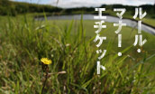 ルール･マナー･エチケット