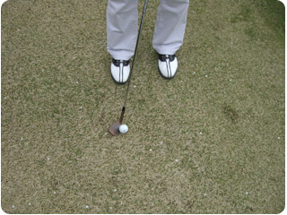 20080328_blog_kato01.jpg