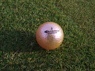 20090405_blog_yuki.jpg