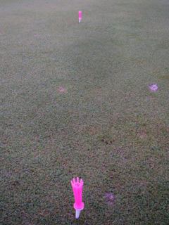 20091104_blog_kato.jpg