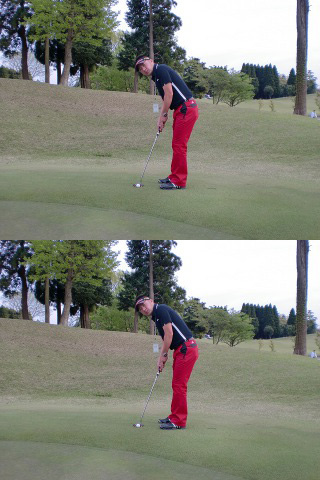 20100518_blog_ko-sei.jpg