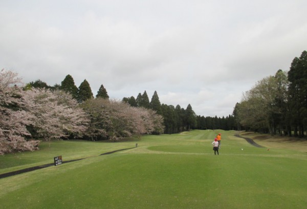 20150411_dairy_toshiyuki_11