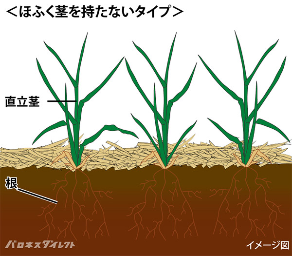 芝生について語りたい！