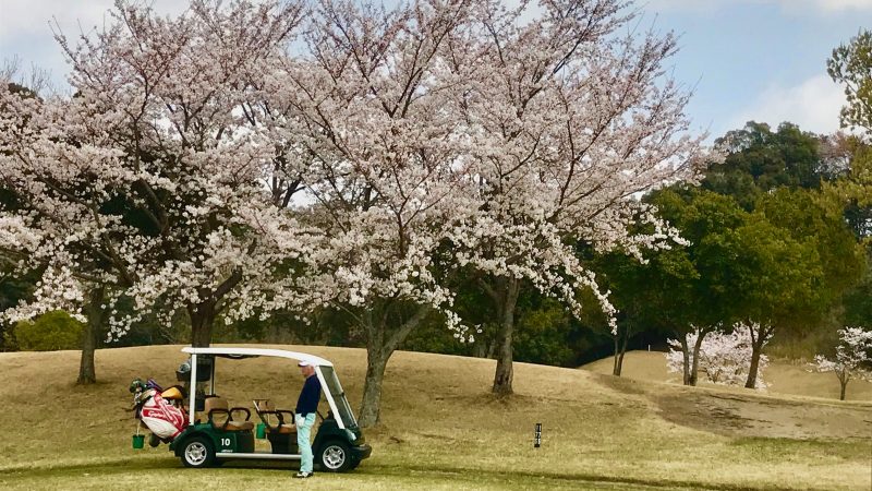 GEN-TENゴルフコースレッスンエクセレントゴルフクラブ伊勢大鷲コースカートと桜の写真