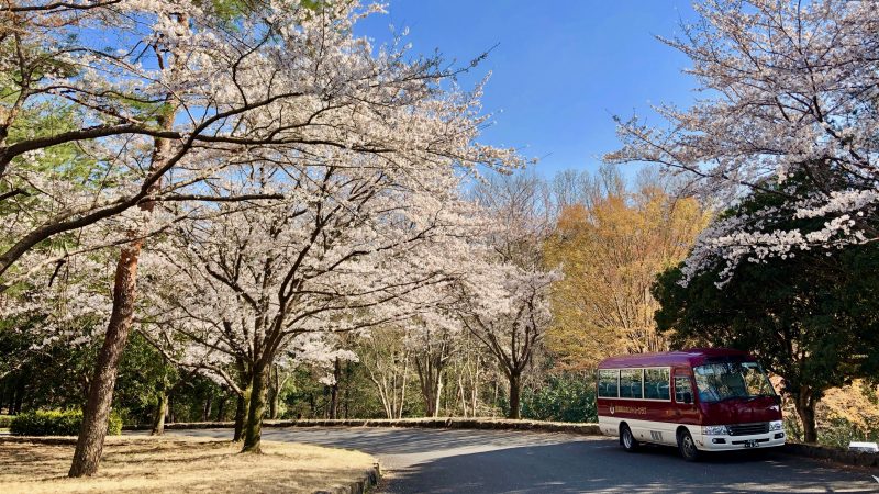 GEN-TENゴルフコースレッスンクラブバスと桜