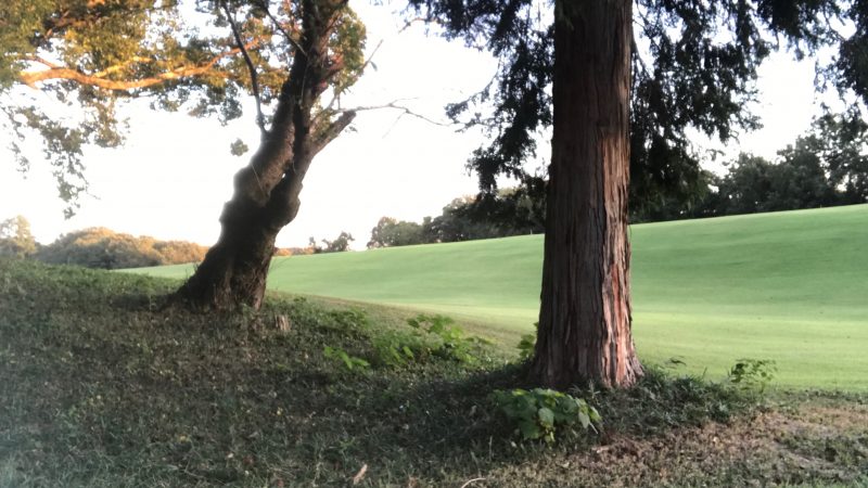 GEN-TENゴルフコースレッスントラブルショット林の中の写真
